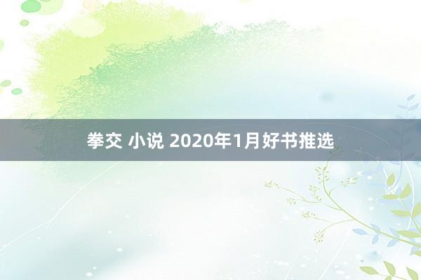 拳交 小说 2020年1月好书推选