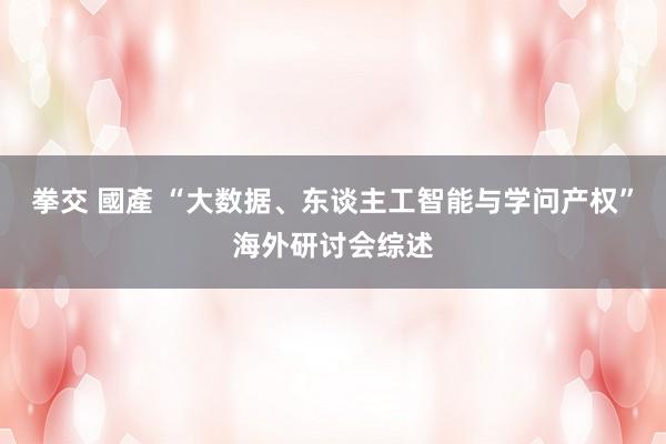 拳交 國產 “大数据、东谈主工智能与学问产权”海外研讨会综述