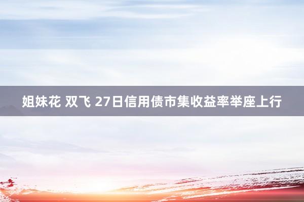 姐妹花 双飞 27日信用债市集收益率举座上行