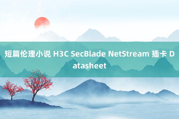 短篇伦理小说 H3C SecBlade NetStream 插卡 Datasheet