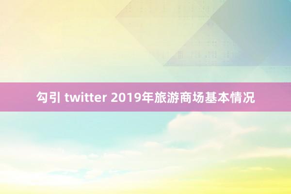 勾引 twitter 2019年旅游商场基本情况