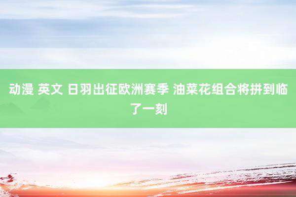 动漫 英文 日羽出征欧洲赛季 油菜花组合将拼到临了一刻