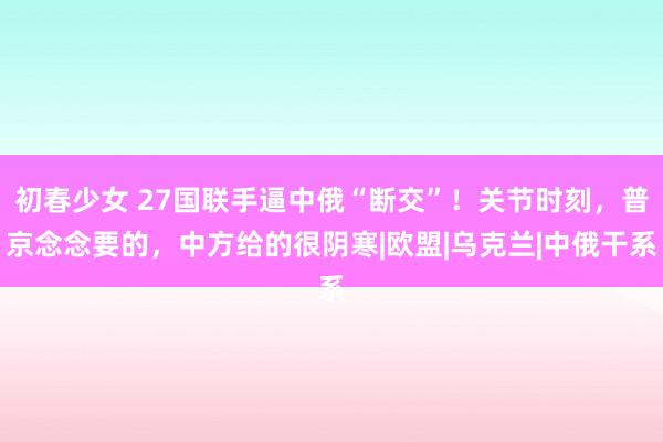 初春少女 27国联手逼中俄“断交”！关节时刻，普京念念要的，中方给的很阴寒|欧盟|乌克兰|中俄干系