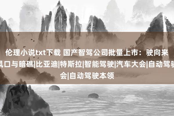 伦理小说txt下载 国产智驾公司批量上市：驶向来日的风口与暗礁|比亚迪|特斯拉|智能驾驶|汽车大会|自动驾驶本领