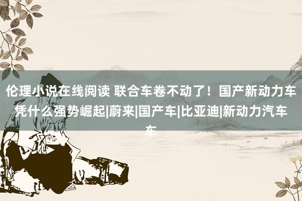 伦理小说在线阅读 联合车卷不动了！国产新动力车凭什么强势崛起|蔚来|国产车|比亚迪|新动力汽车