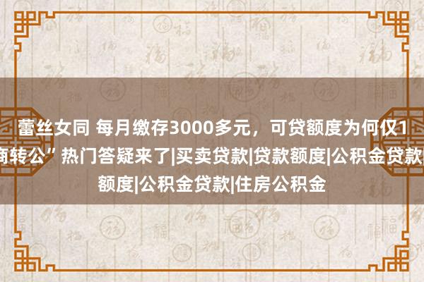 蕾丝女同 每月缴存3000多元，可贷额度为何仅1000元？“商转公”热门答疑来了|买卖贷款|贷款额度|公积金贷款|住房公积金