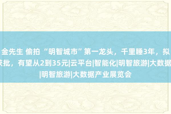 金先生 偷拍 “明智城市”第一龙头，千里睡3年，拟10转9派7获批，有望从2到35元|云平台|智能化|明智旅游|大数据产业展览会