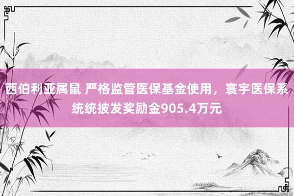 西伯利亚属鼠 严格监管医保基金使用，寰宇医保系统统披发奖励金905.4万元