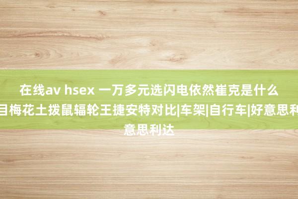 在线av hsex 一万多元选闪电依然崔克是什么眉目梅花土拨鼠辐轮王捷安特对比|车架|自行车|好意思利达