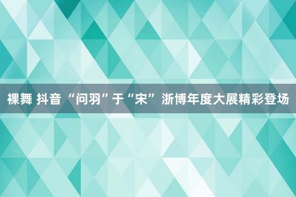 裸舞 抖音 “问羽”于“宋” 浙博年度大展精彩登场