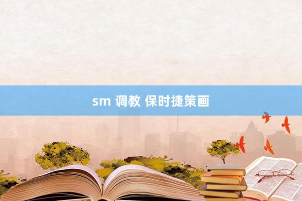 sm 调教 保时捷策画