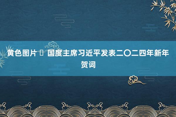 黄色图片 ​国度主席习近平发表二〇二四年新年贺词